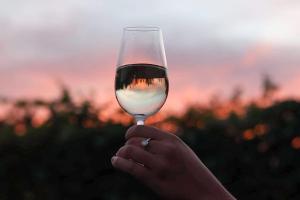 Photo de la galerie de l'établissement Vinařský dům Sedlec, à Sedlec 48 autres photos