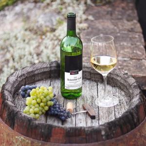 Photo de la galerie de l'établissement Vinařský dům Sedlec, à Sedlec