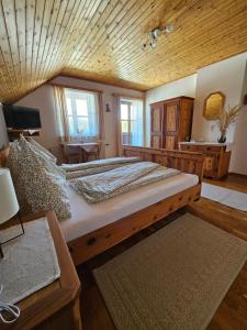 Televiisor ja/või meelelahutuskeskus majutusasutuses Biohof Poinsitgut