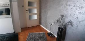 Køkken eller tekøkken på Apartman Anastasija