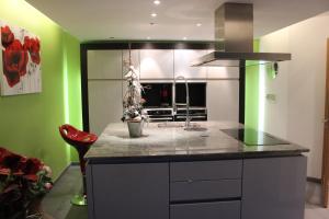 uma cozinha com paredes verdes e uma grande bancada em Gite De La Route Du Vin em Ribeauvillé