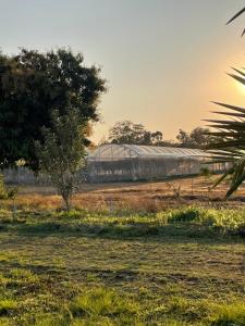 a large glass building in a field with a tree at DHome and Gardens in Phibun Mangsahan