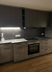 Kuchyň nebo kuchyňský kout v ubytování Modern renovierte Ferienwohnung mit Kunstambiente