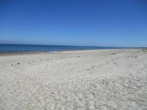 a sandy beach with the ocean in the background at Apartment Fledermäuschen in Graal-Müritz