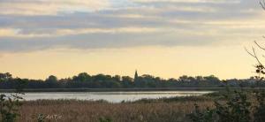 リーブニッツ・ダムガルテンにあるBungalow mit Kamin in Ribnitz-Damgartenの遠方の塔を持つ大量の水