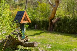 ein Vogelhaus auf einem Ast in der Unterkunft Doppelhaushälfte Wustrow in Wustrow