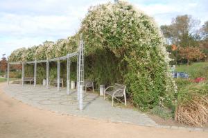 Aed väljaspool majutusasutust Ferienwohnung mit Ostseeblick in Rerik