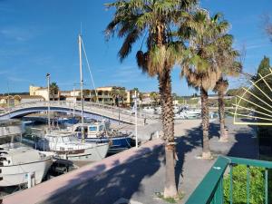 Naturlandskabet i nærheden af lejligheden