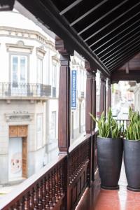 deux plantes en pot sur un balcon d'un bâtiment dans l'établissement Suites 1478, à Las Palmas de Gran Canaria