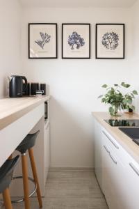 Η κουζίνα ή μικρή κουζίνα στο Apartament Czarno na Białym