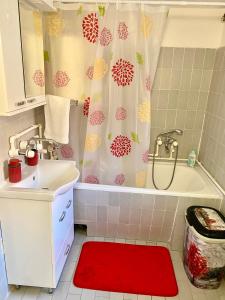 a bathroom with a tub and a sink and a red rug at TADIJA apartman Niš in Donja Vrežina +26 photos