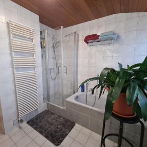 a bathroom with a shower and a potted plant at Gemütliche 120 qm Ferienwohnung mit Balkon in Adelsdorf +13 photos