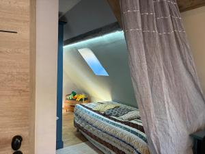 a bedroom with a bed and a curtain at L Atypik à L ancienne forge in Muhlbach-sur-Munster