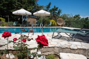 Fotografie z fotogalerie ubytování Villa Anna v destinaci Ágios Stéfanos