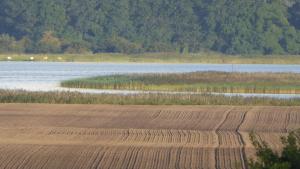 a plowed field next to a body of water at Gut Rattelvitz, Parterre A OST in Gingst
