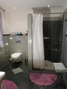 une salle de bain avec une douche avec des toilettes et un lavabo dans l'établissement Villa Roma, à Losheim