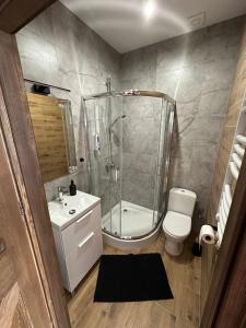 a bathroom with a shower and a toilet and a sink at Kamienica LOFT in Ciechocinek +32 photos