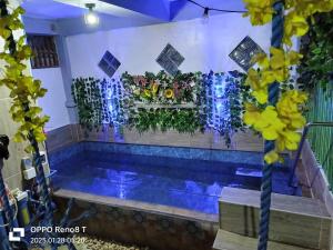 Piscina a Modern Loft House Ormoc with Car Rental o a prop