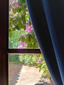 a window view of a garden with pink flowers at Chalet Las Nenas B&B in Mar del Plata