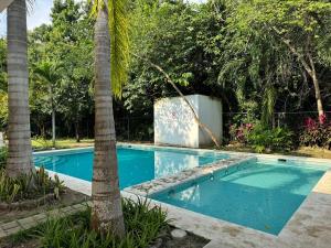 a pool with a palm tree in a yard at Casa Puerto Paraíso in Puerto Morelos
