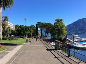 Φυσικό τοπίο κοντά σε αυτό το διαμέρισμα