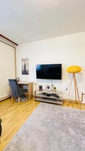TV a/nebo společenská místnost v ubytování Guest House Bosnian House