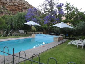 a swimming pool with two umbrellas and a slide at Rainbow Glen Self Catering Chalets in Montagu