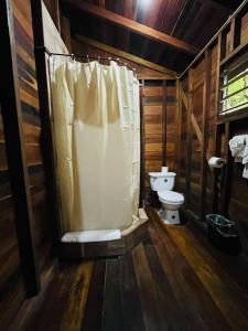 a bathroom with a toilet and a shower curtain at Green Jay Cabins in Duffy Bank +6 photos