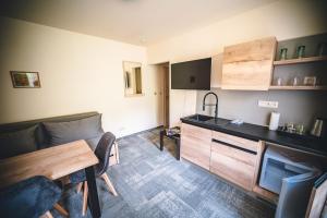 Kuchyň nebo kuchyňský kout v ubytování Wellness & Spa Hotel Čertov