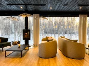 Posezení v ubytování Silver Birch Resort Lapland
