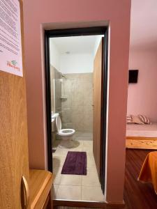 a bathroom with a toilet and a sink and a shower at Casa Mboyeré in Concepción del Uruguay +22 photos