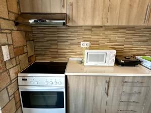 a kitchen with a stove and a microwave on a counter at Stone House Retreat in Kalavárda