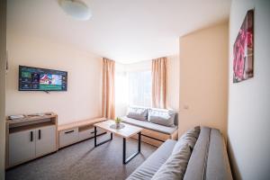 TV a/nebo společenská místnost v ubytování Wellness & Spa Hotel Čertov