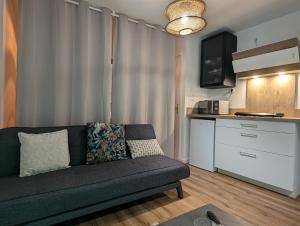 a living room with a couch and a kitchen at Charmant studio au coeur de la ville in Guer +6 photos
