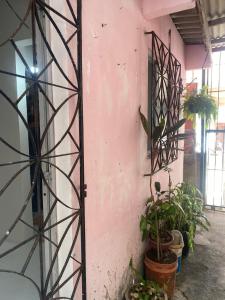 una stanza con piante in vaso accanto a un muro di Casa período carnaval a Salvador