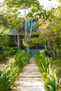 a walkway through a garden with trees and a building at NIKARA Luxury Beach House in Tissamaharama