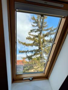 Náttúran í nágrenni hótelsins +37 myndir