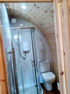 a bathroom with a shower and a toilet in a room at Atlantic Sunset Pod, Isle of Benbecula in Balivanich