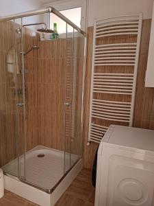 A bathroom at 100 lépés - 100 steps - Apt with huge terrace next to the thermal bath