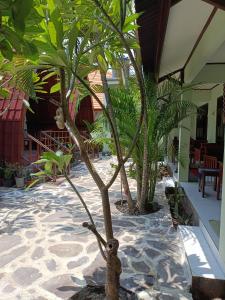 a small tree in the middle of a courtyard at Gili Mesari Cottages & Homestay in Gili Trawangan