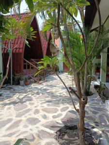 a small tree in the middle of a courtyard at Gili Mesari Cottages & Homestay in Gili Trawangan