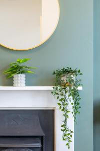 a mirror above a fireplace with two plants on it at Queens Gardens in Brighton & Hove