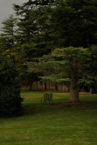 Um jardim em Robles de Besares