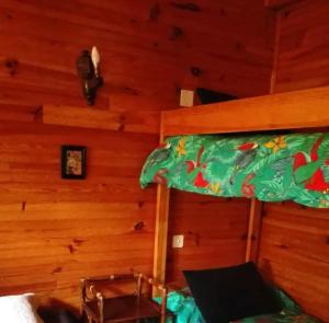 Μία ή περισσότερες κουκέτες σε δωμάτιο στο Chalet avec jolie vue - proche des pistes
