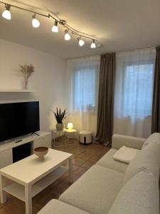 Μια τηλεόραση ή/και κέντρο ψυχαγωγίας στο Ruhiges 2 Zimmer Apartment