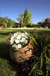 Um jardim em Robles de Besares