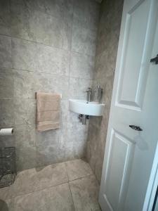 Bagno di New luxurious and spacious guest suite in Banstead