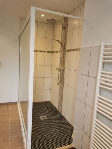 a shower with a glass door in a bathroom at La Maison De Titou in Lazer