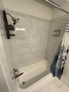 Gallery image of Bi Level Downtown Midtown Suite PS5 Movie Theater in Detroit