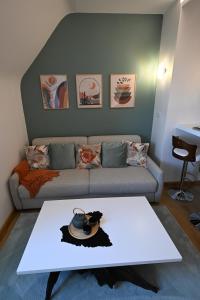 a living room with a couch and a table at Appartement Design Centre Résidence Historique avec Parking in Amiens